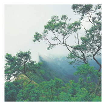 Christians Party? Unite4Ukraine#87