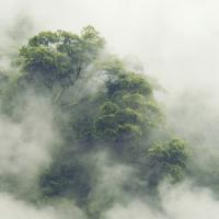 Christians Party? Unite4Ukraine#125