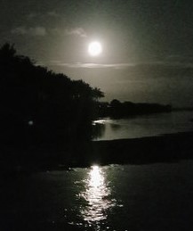 Christians Party? Stand4Ukraine#126