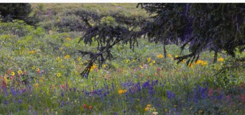 Christians Party? Unite4Ukraine#128