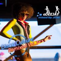 Disco Culture Remixed Vol.2