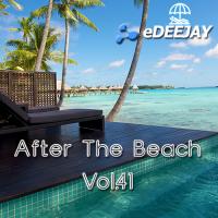 After The Beach Vol.41