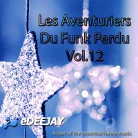 Les Aventuriers Du Funk Perdu Vol.12