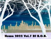 House 2022 Vol.7 DJ B.O.B.