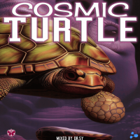 COSMIC TURTLE