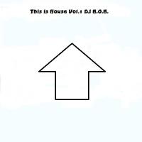 This is House Vol.1 DJ B.O.B.