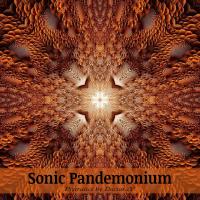 Sonic Pandemonium