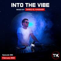 Into The Vibe 050