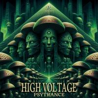 HIGH VOLTAGE