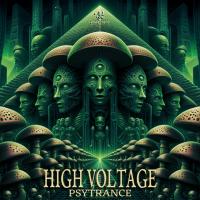 HIGH VOLTAGE