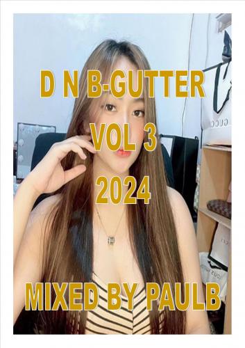 D N B GUTTER VOL 3 2024