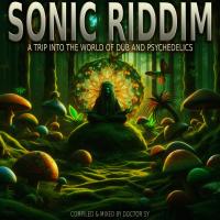 SONIC RIDDIM (Summer 2024)