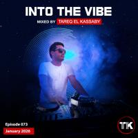 Into The Vibe 073