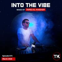 Into The Vibe 075